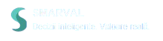 Smarval logo cu sloganul „Decizii inteligente. Valoare reală.”